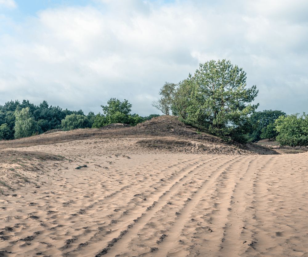 Hotel vlakbij Loonse en Drunense Duinen | Bastion Hotels